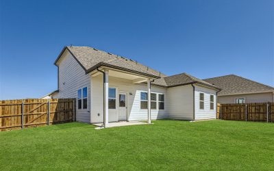 Livingston Backyard Edited